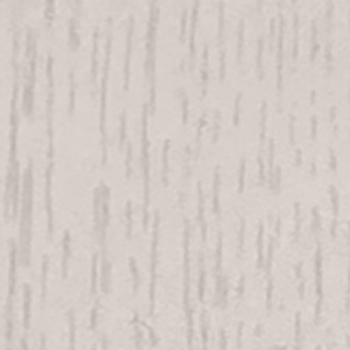 Isham Cashmere Door Sample
