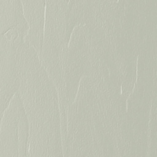 Fontwell Sage Green Door Sample