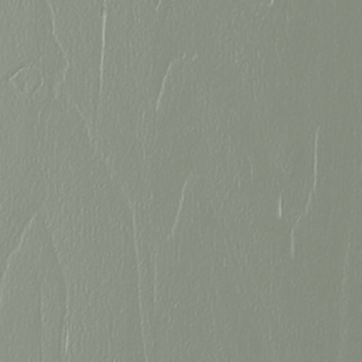 Fontwell Cardamom Door Sample
