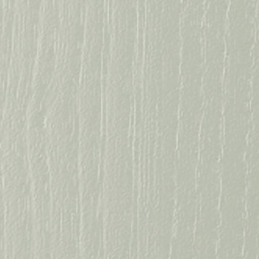 Fishbourne Sage Green Door Sample