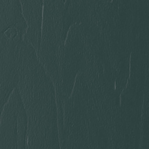 Fontwell Deep Forest Door Sample